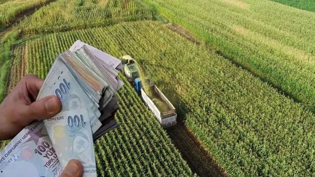 500 Bin Euro Hibe, Sıfır Kur Riski! Tarımda 40 Yaş Altı Genç Çiftçiye Dev Müjde!